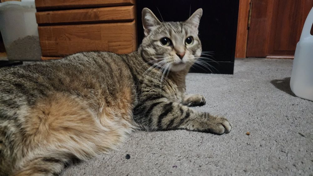 A real piece of shit named Cheryl. 