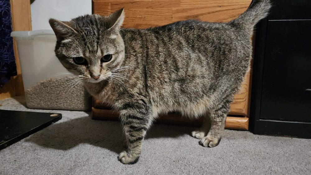 A real piece of shit named Cheryl. 