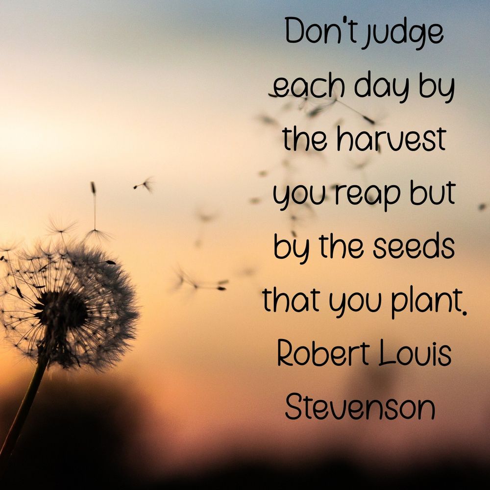 Don't judge each day by the harvest you reap but by the seeds that you plant.
Robert Louis Stevenson 