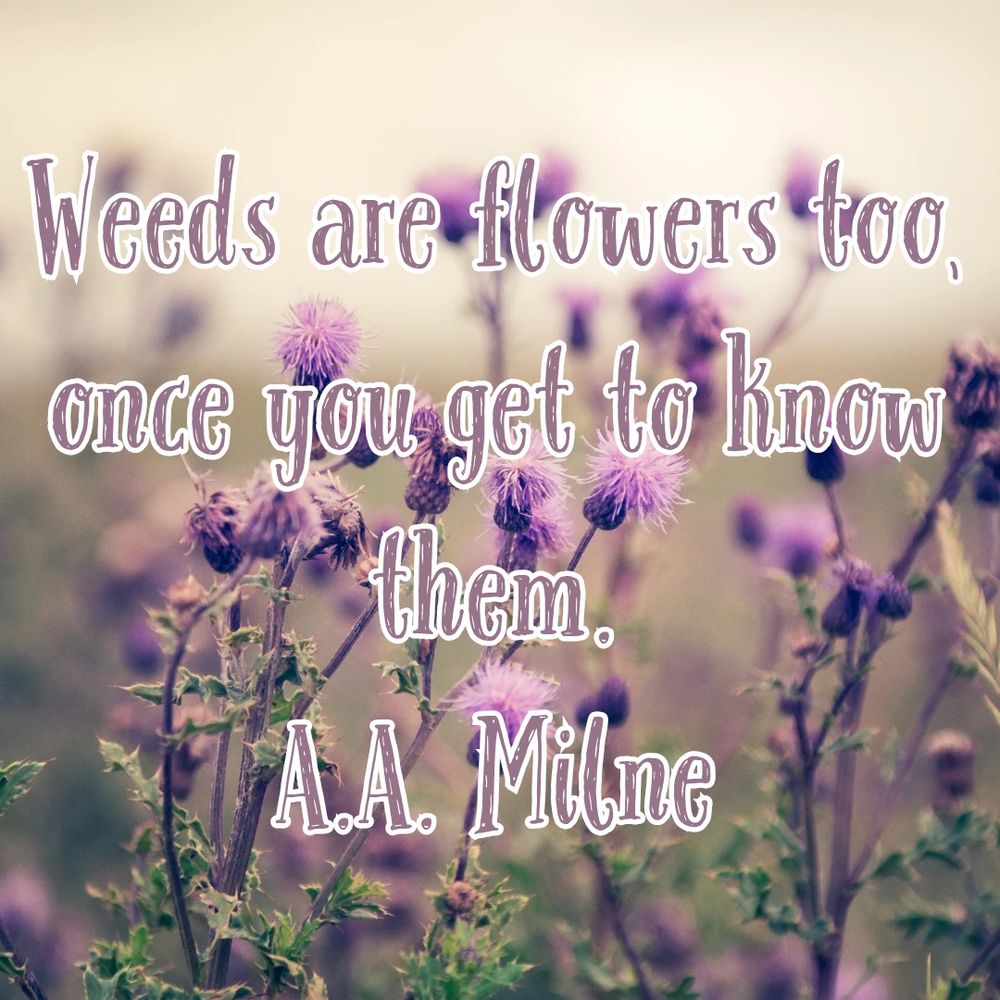 Weeds are flowers too, once you get to know them.
A.A. Milne