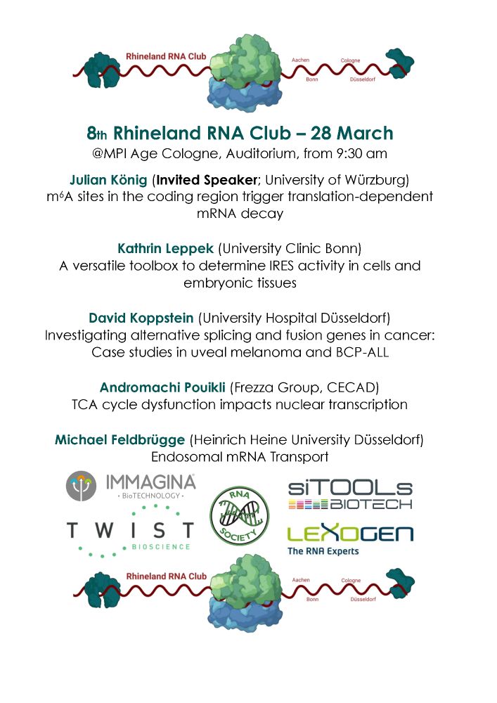 Invitation to the 8th Rhineland RNA Club meeting on 28 March at the MPI for Biology of Ageing At 9:30 am with Julian König, Kathrin Leppek, David Koppstein, Andromachi Pouikli and Michael Feldbrügge as speakers. The event is supported by the RNA Society, Lexogen, siTools, Twist and Immagina.