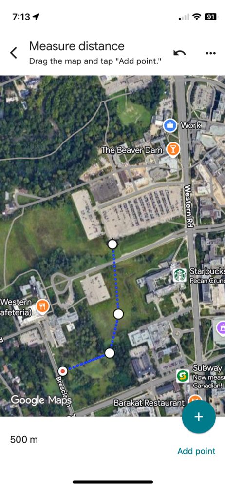 Map of Western/Brescia west campus with a path from Brescia Lane to Springett Parking lot