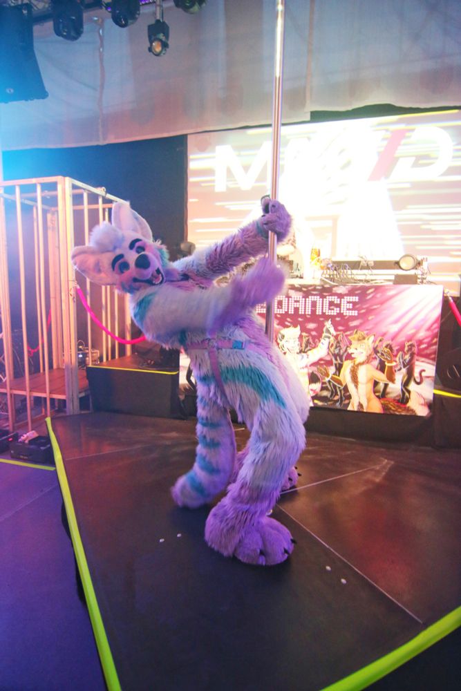 Keenora ist pole dancing in his fursuit and looking to the camera, on stage