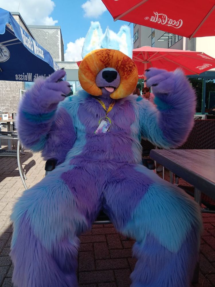 Keenora wearing his fursuit, having a croissant plushies around his snout.