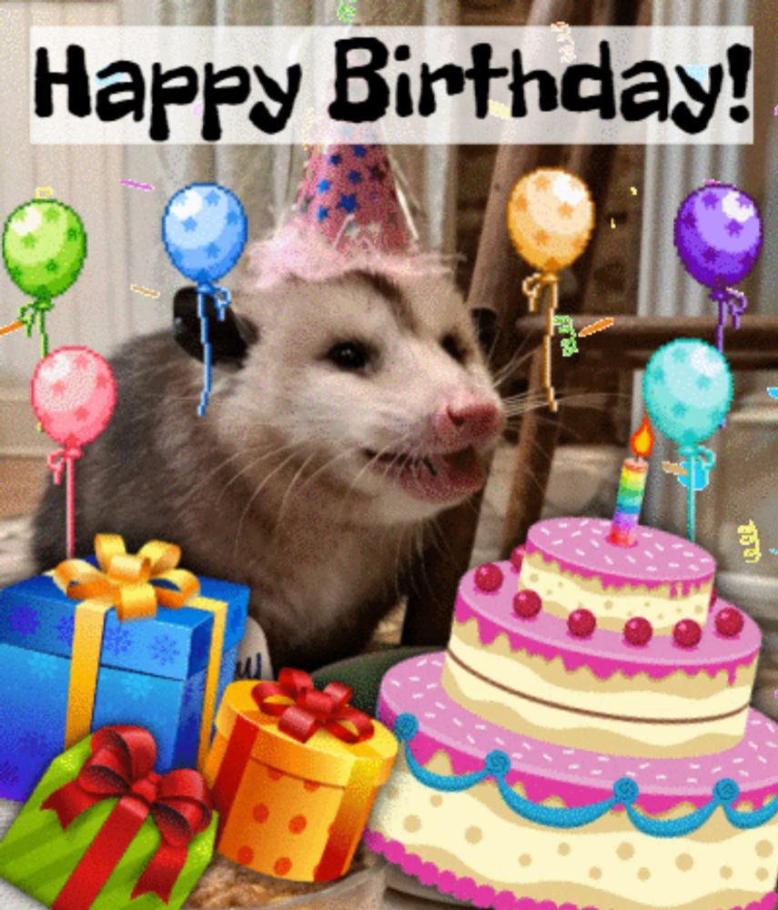 Opossum Birthday GIF