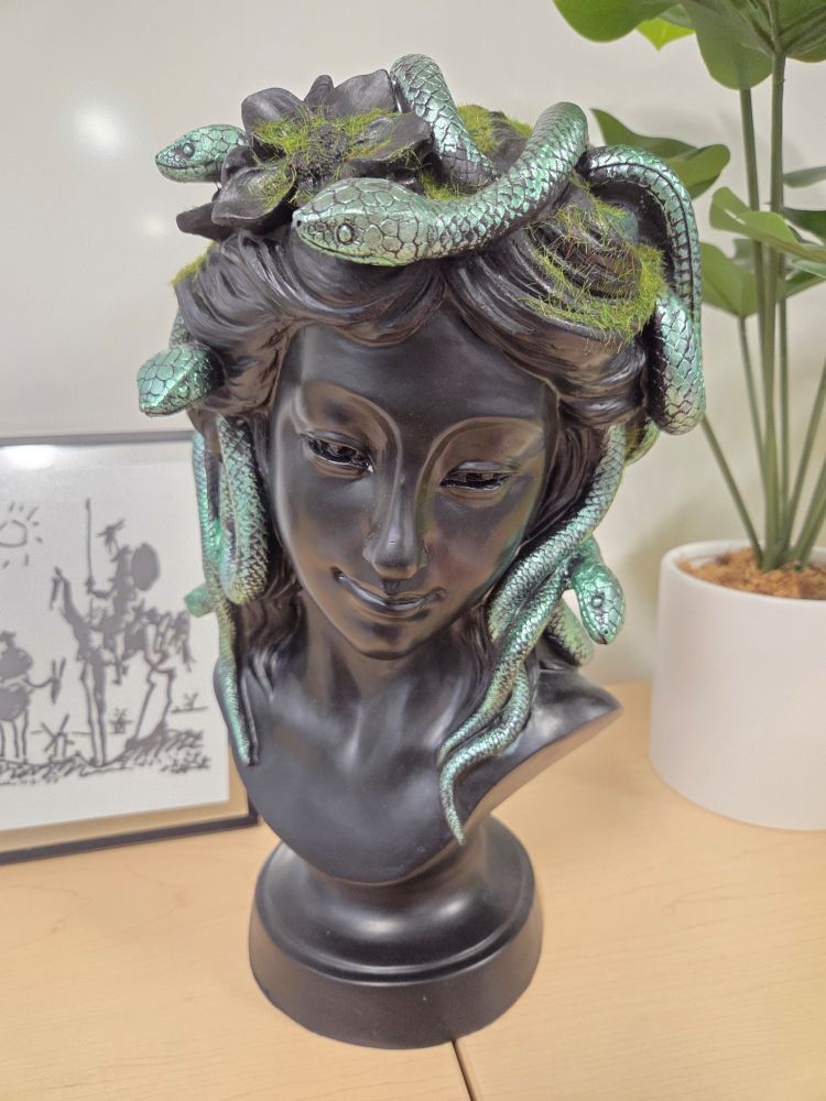 Black Medusa bust where snakes are green 5 green moss grows throughout her snaky hair. 