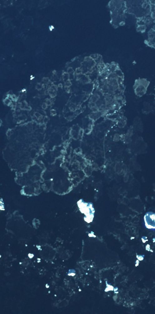 Sea ice and icebergs in a sentinel 2 image