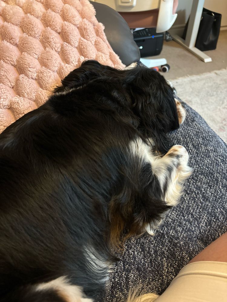 Cav in a mardy because he had a haircut.