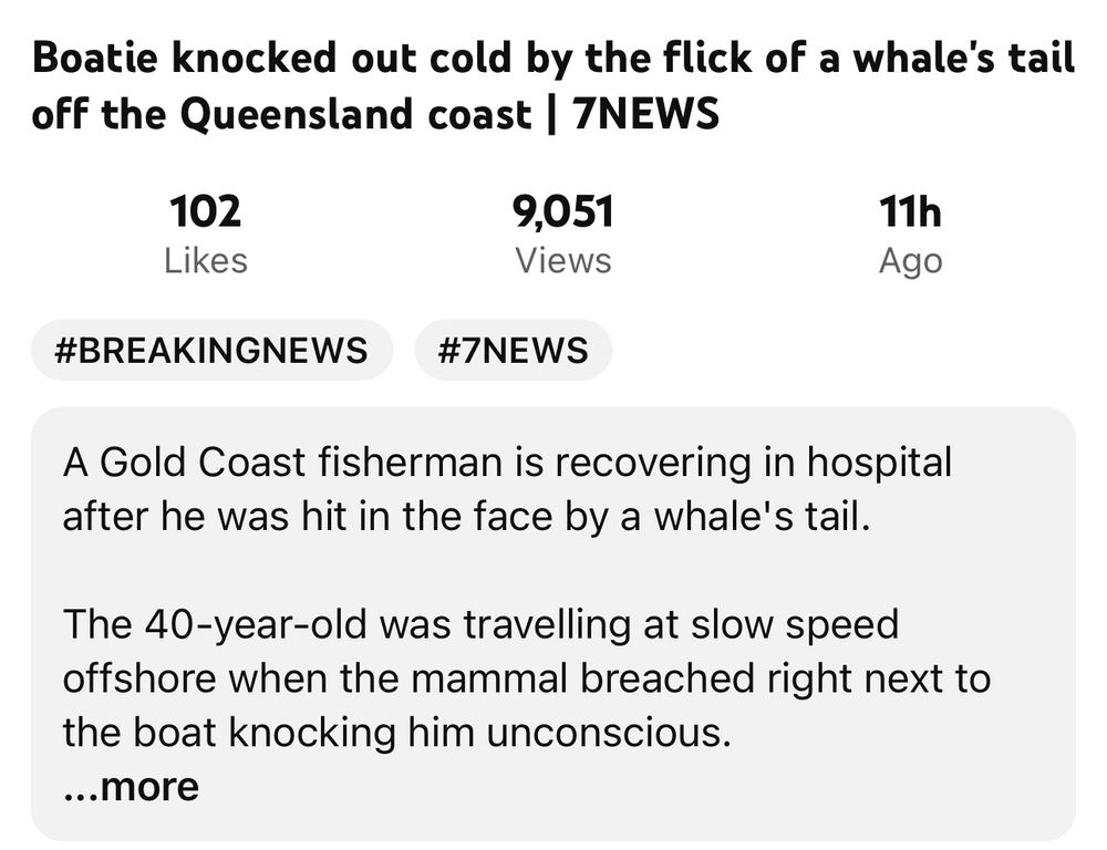 News item from YouTube about a “boatie” who was knocked unconscious by a whale tail.