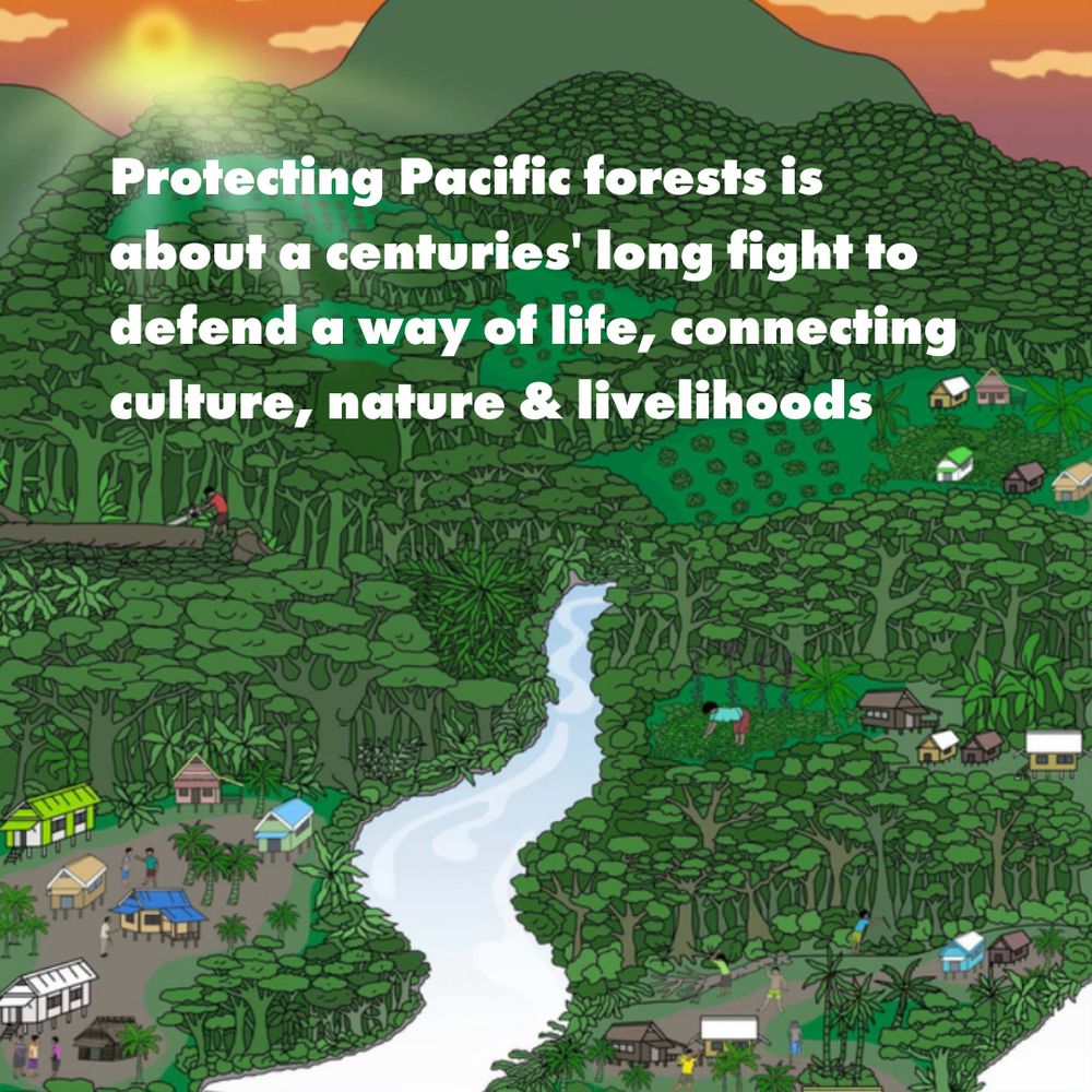 Protecting Pacific forests is about a centuries’ long fight to defend a way of life, connecting culture, nature & livelihoods