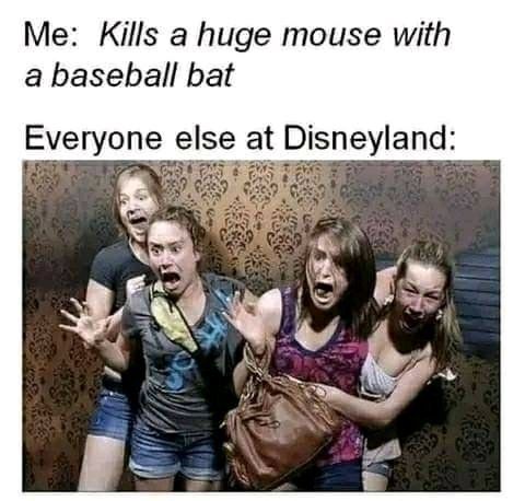 Meme


The picture shows scared young people.
The text above says:
Me: killing a huge mouse with a baseball bat 

Everyone else in Disneyland
