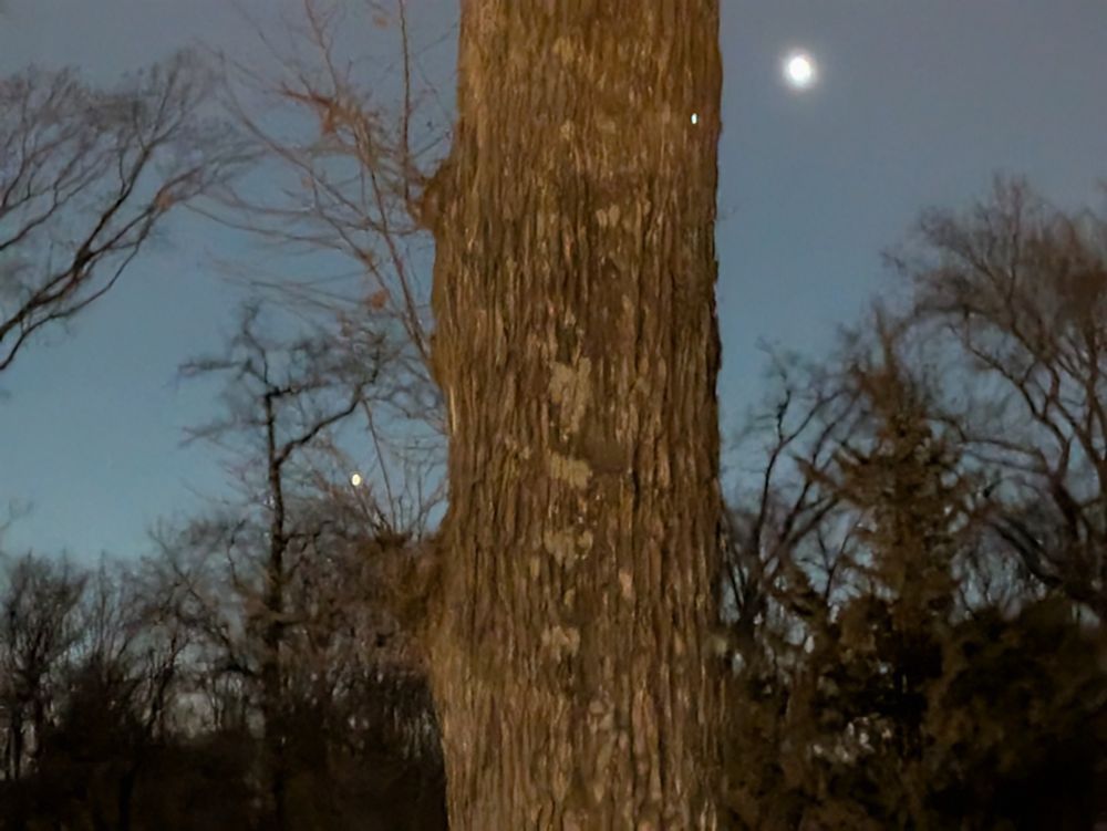 Venus (upper right) and Mercury (lower left).  This was a 6 second exposure with my phone camera.