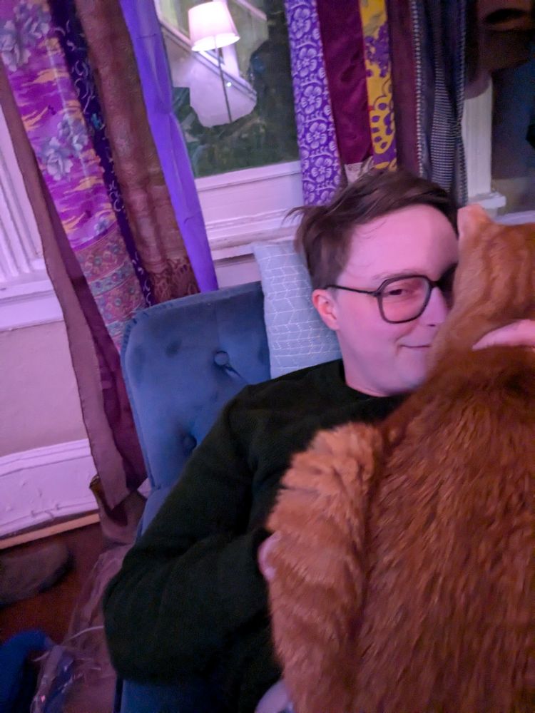 My Business the huge orange tabby is purring on my boyfriend very loudly