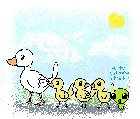 Flug, following a line of ducklings with their mother duck, on a sunny day, wondering "I wonder what we're in line for!!"