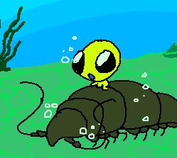 flug underwater, on top of a isopod, its all so awesome