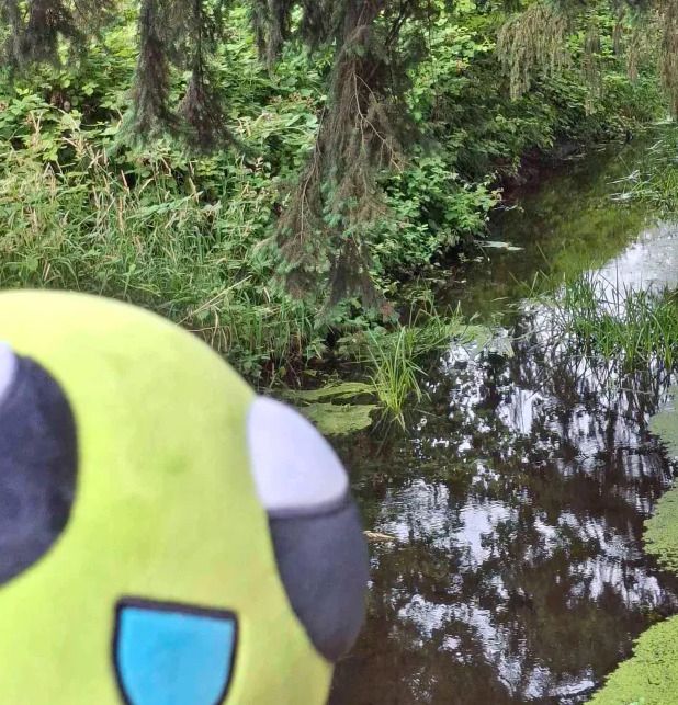 a plush flug, in the corner. behind them is . green. forest. scenery.. so beautiful 