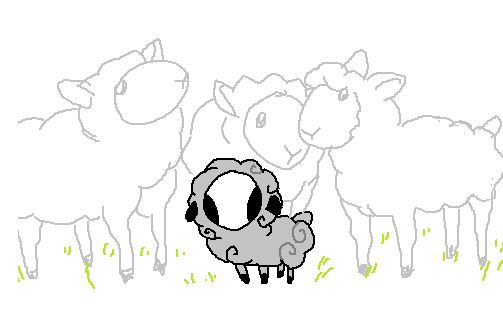 week dressed as a sheep, around a bunch of sheep
