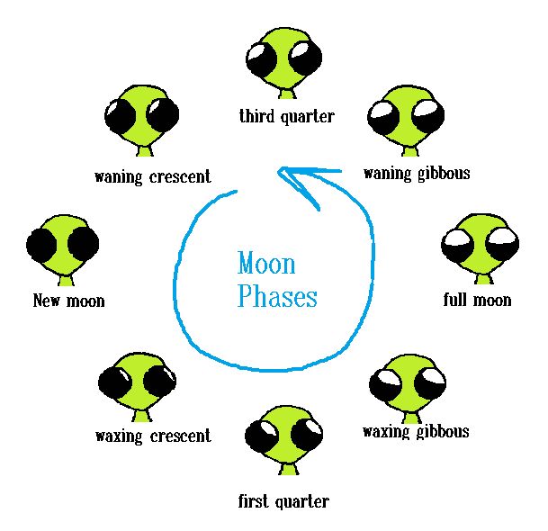 Flug showing you the moon phases through the postion of their eyeshine. "new moon" "waxing crescent" "first quarter" "waxing gibbous" "full moon" "waning gibbous" "third quarter" "waning crescent" 