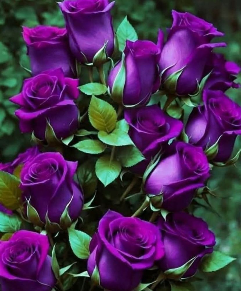 Comment image