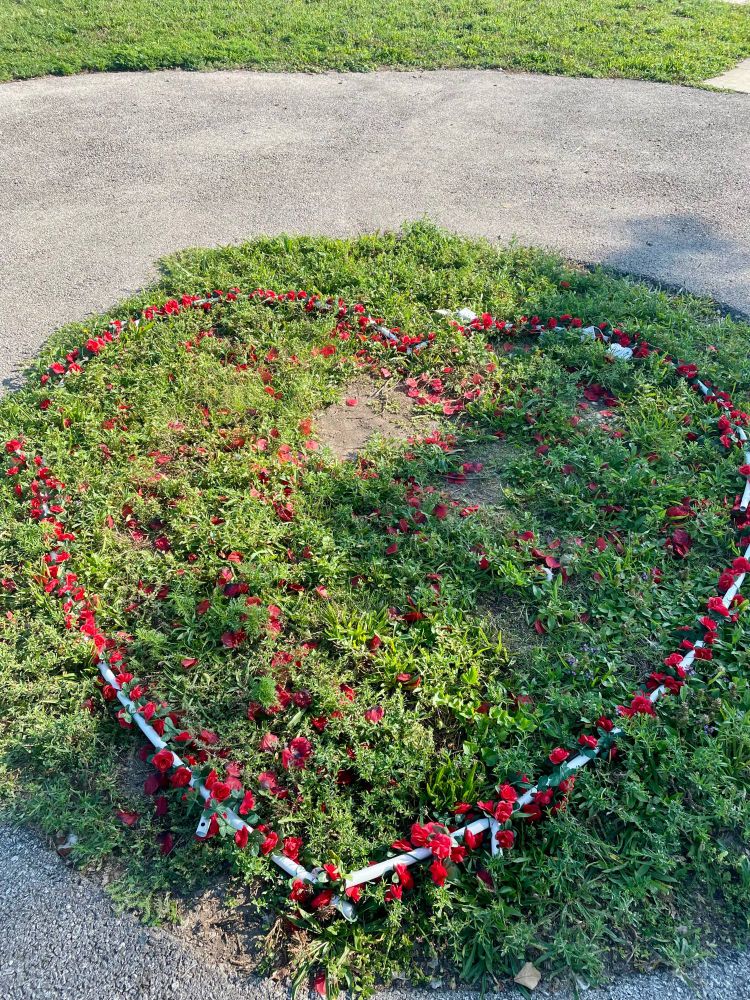 a white heart frame twined with fake red roses and light lies on a circular patch of grass. 