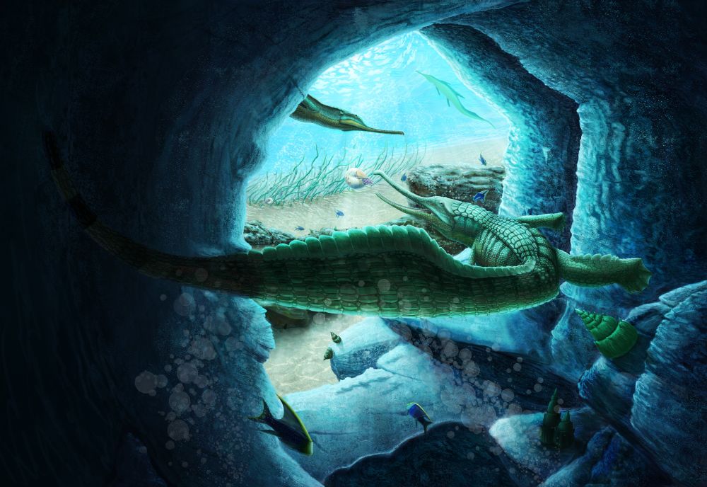 Mystriosuchus steinbergeri (HugoPaleoart)