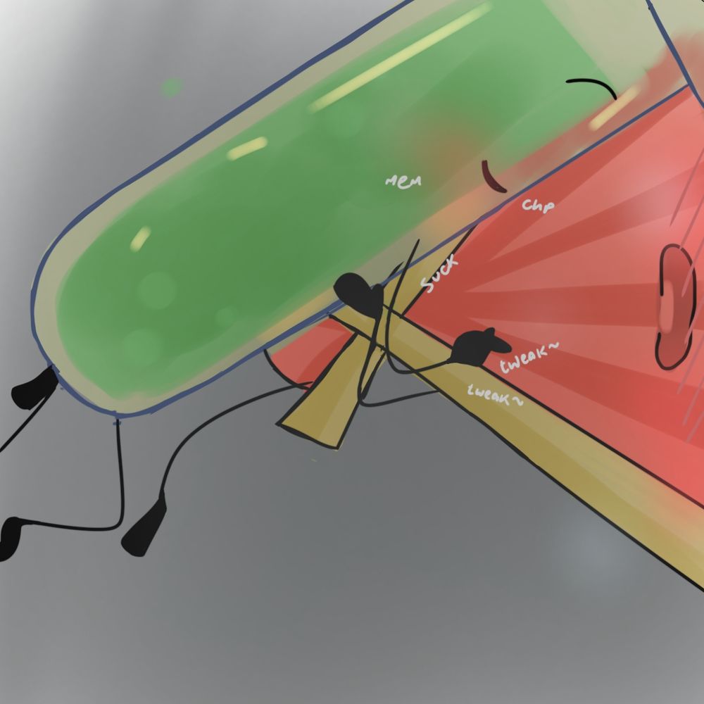test tube sucking and playing with fan's folds.