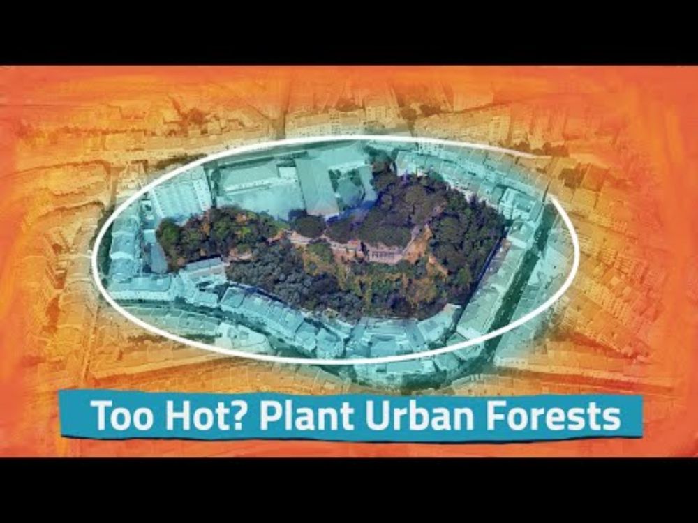 How can urban forests help mitigate climate change?