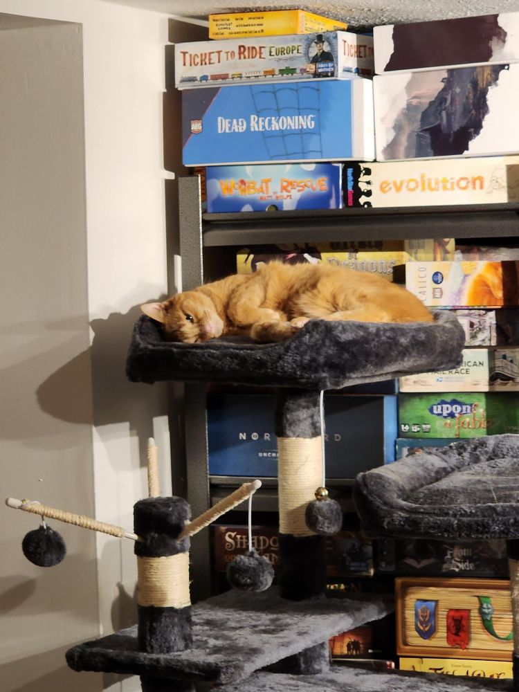 an orange tabby lying on her side, feet tucked against her, on the top level of a dark gray cat tree, behind which is a shelf of board games