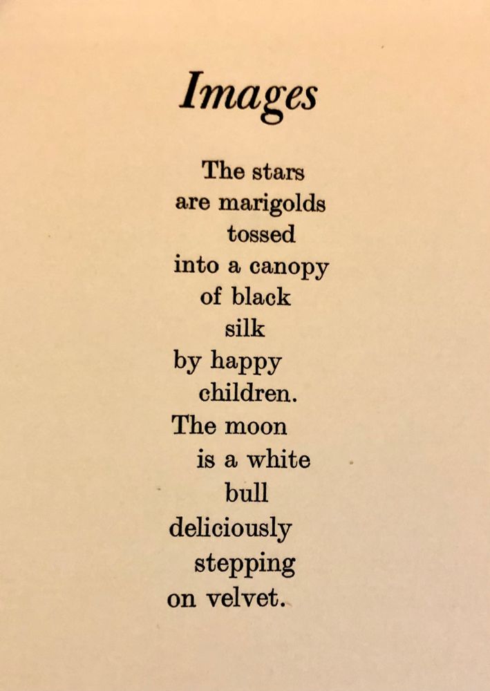 Images The stars Are marigolds Tossed Into a canopy Of black Silk By happy Children. The moon Is a white Bull Deliciously Stepping On velvet.