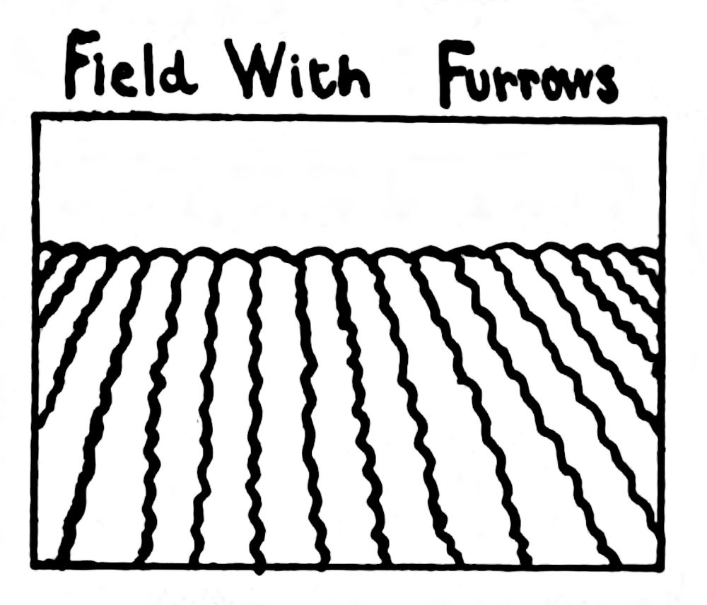 Field With Furrows: simple line illustration.
