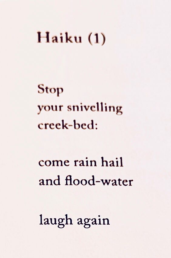 Stop
You snivelling
Creek-bed:

Come rain hail
And flood-water

Laugh again