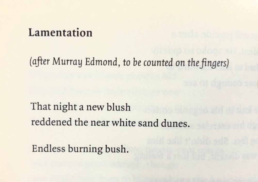 Lamentation

(after Murray Edmond, to be counted on the fingers)

That night a new blush
Reddened the near white sand dunes.

Endless burning bush.