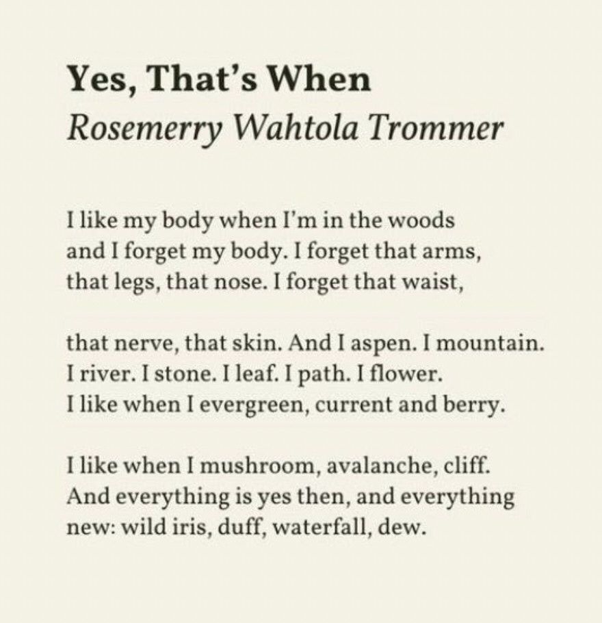 Yes, That’s When

I like my body when I’m in the woods
And I forget my body. I forget that arms,
That legs, that nose. I forget that waist,

That nerve, that skin. And I aspen. I mountain.
I river. I stone. I leaf. I path. I flower.
I like when I evergreen, current and berry.

I like when I mushroom, avalanche, cliff.
And everything is yes then, and everything
New: wild Iris, duff, waterfall, dew.