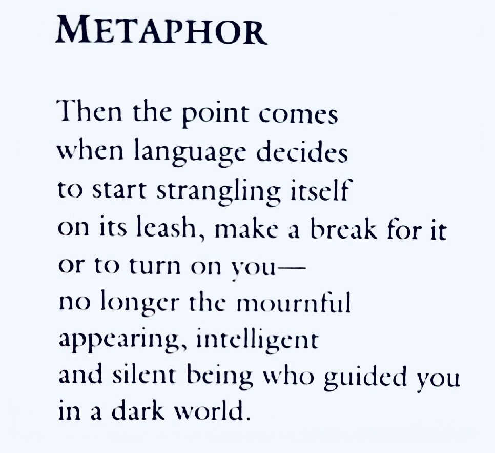 Metaphor

Then the point comes
When language decides
To start strangling itself
On its leash, make a break for it
Or to turn on you—
No longer the mournful
Appearing, intelligent
And silent being who guided you
In a dark world.
