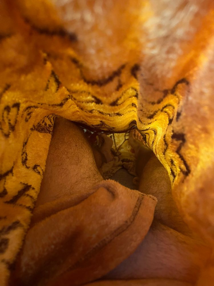 Ein Foto unter der Wolldecke. Man sieht einen nackten männlichen Unterkörper ab dem Bauchnabel abwärts. Eine Ecke der Decke verdeckt den Penis