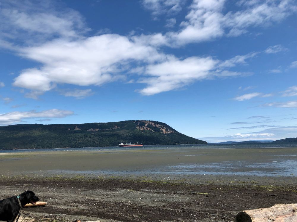 A beach with the tide out and a ship in the distance