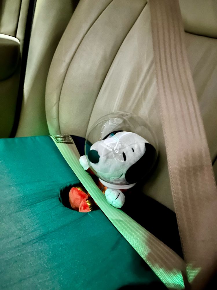 Space Snoopy (a black-eared white beagle with a round black nose) is all buckled in and ready for launch! He fits snugly inside his seat awaiting the countdown. A curious greenish-blue glow is shining into the cockpit
