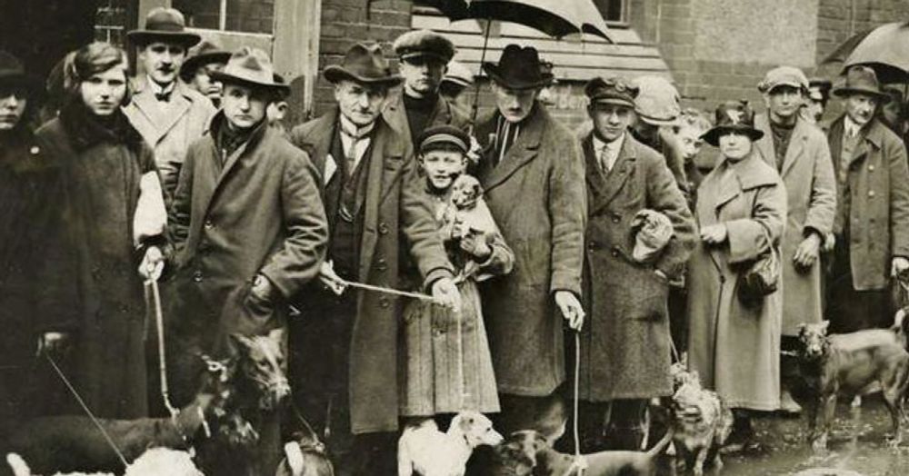 The Forgotten History of the British Pet Holocaust