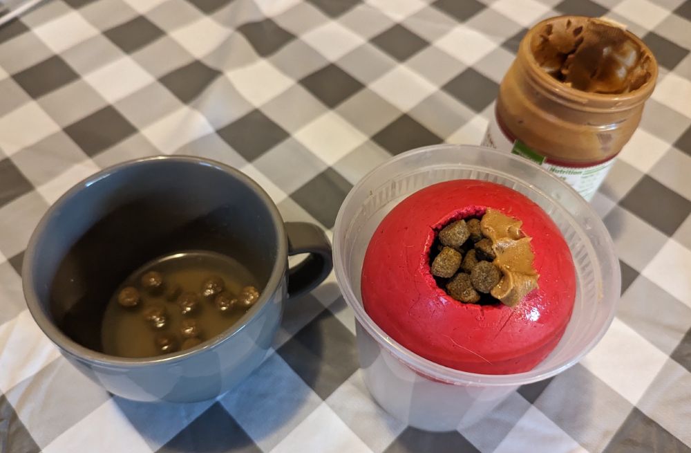 Dry kibble soaking briefly in a cup of water, and a Kong dog toy held upright in a plastic cup, filled with some of the damp kibble, and with peanut butter smeared over the Kong toy's large opening.