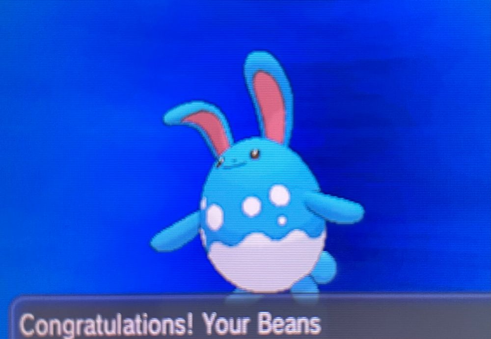 azumarill with text Congratulations! Your Beans
