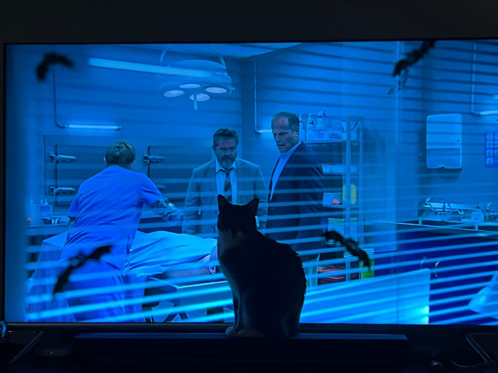 Cat sitting on top of the tv cabinet blocking the tv