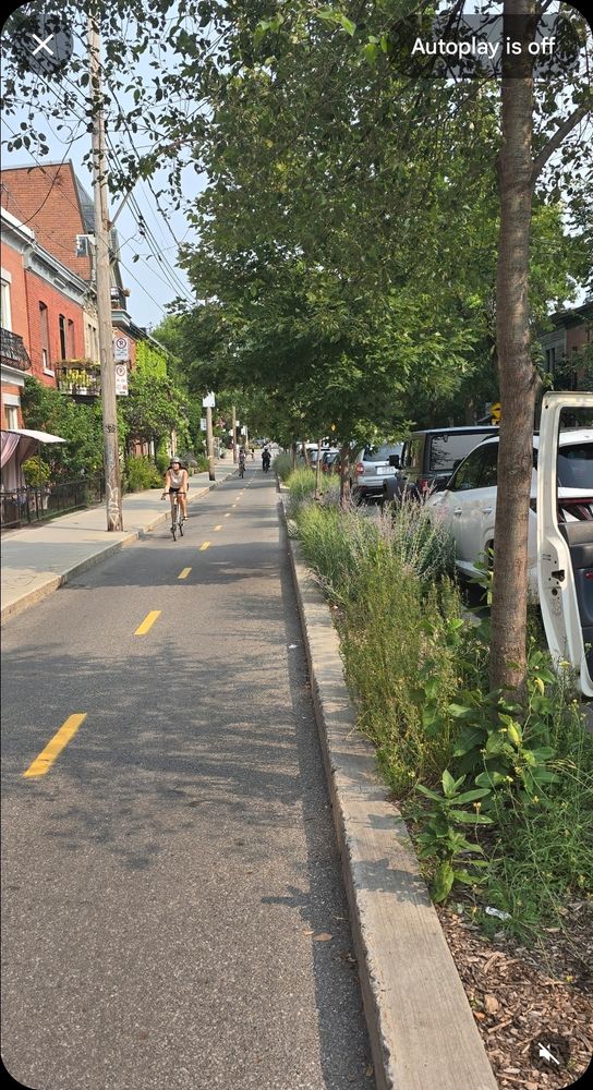 A two-way bike lane, protected by a narrow curbed median with grass and trees