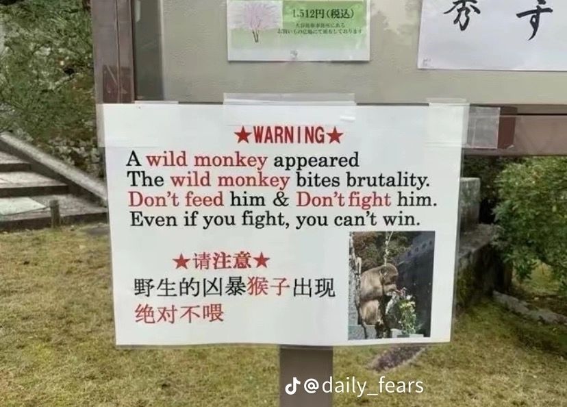 A sign from a zoo enclosure, in English and Chinese. The English text reads:

"☆WARNING☆
A wild monkey appeared
The wild monkey bites brutality.
Don't feed him & Don't fight him.
Even if you fight, you can't win."