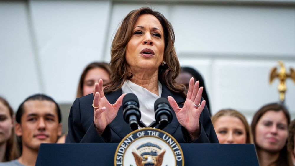 What people mean when they call Kamala Harris a ‘DEI candidate’ - Fast Company