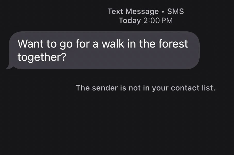 Spam text message that reads:

Want to go for a walk in the forest together?