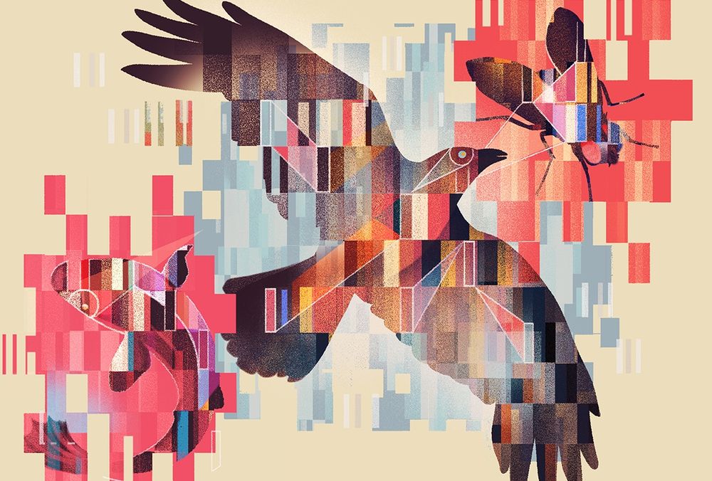 Fish, bird and insect connected by fine lines on a colorful horizontal  pattern of rectangles reminiscent of genetic sequencing. 