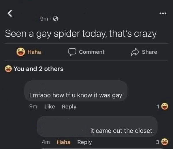 Screenshot of a FB status that says “seen a gay spider today, that’s crazy” 

Followed by a comment saying “Lmfaoo how tf u know it was gay” and a reply saying “it came out the closet” 
