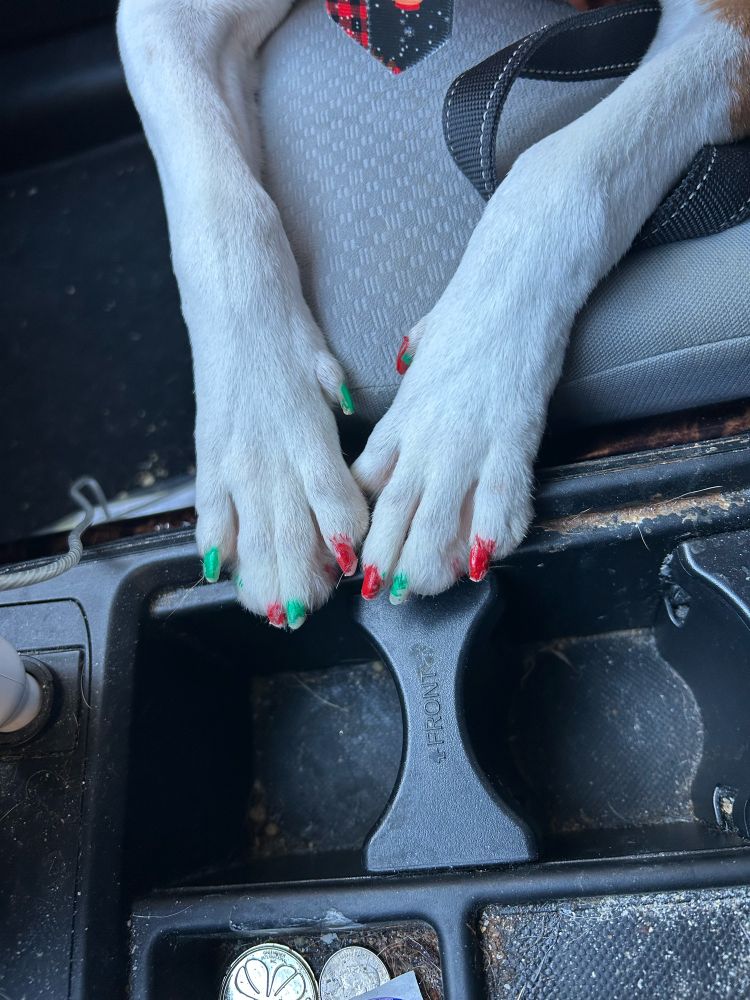 Focus on the aforementioned nail, more clearly showing the alternating red & green, including his dewclaws.