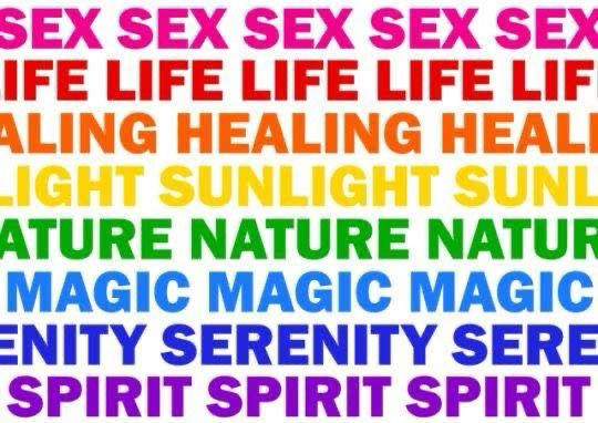 8 lines of text where each line is the color of one of the stripes of the original Pride flag. Each line is the original meaning of that particular color stripe. In order:

Pink - sex
Red - life
Orange - healing
Yellow - sunlight
Green - nature
Turquoise - magic
Blue - serenity
Purple - spirit