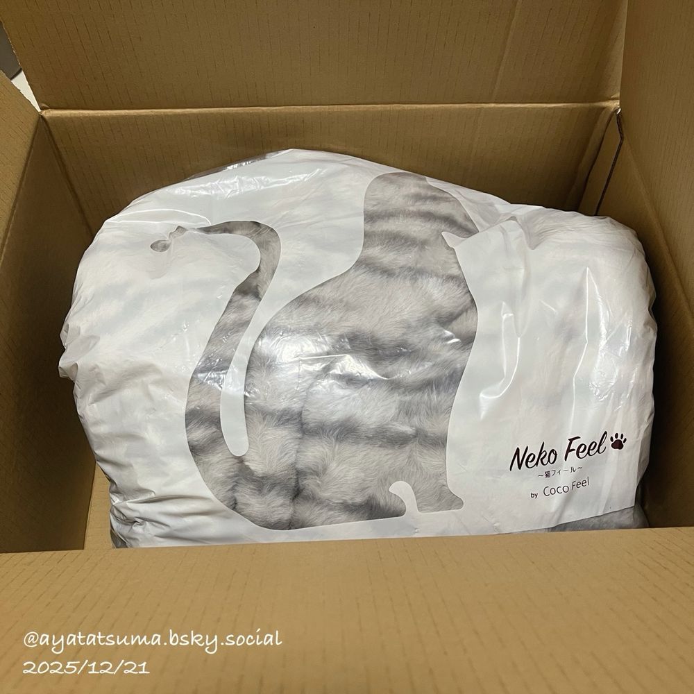 ニッセンの猫feelが届いた時の梱包。猫の形が透明になっていて、外が白くプリントされたビニール袋に入っているので、中の商品の柄の猫の姿に見える。購入したのはサバトラ(グレー系)